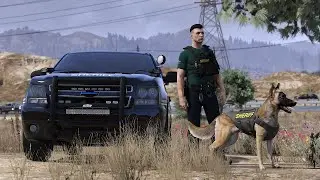 BCSO K-9 UNIT | PLAYING AS A COP IN GTA 5 | AJAX ON THE HUNT! #quantv  #4k #lspdfr