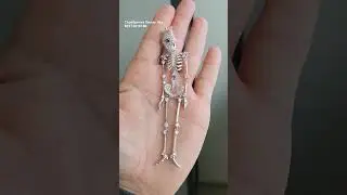 Серебро, родий. 