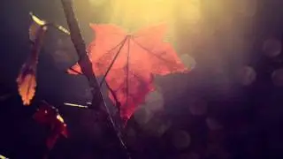 Rocket Miner - Atoms on Friday