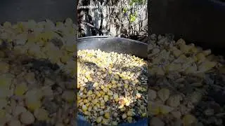 Гидромельница для приготовления кормов