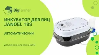 Инкубатор Janoel 18S автоматический