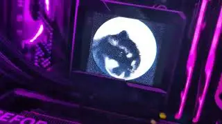 Pedro Meme Mode