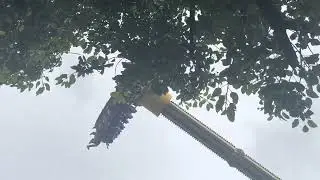 Imagica wonder ride accident free