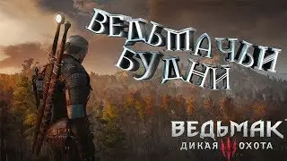 The Witcher: Wild Hunt - Мод "Школа Плотвы" (Запись стрима) №2