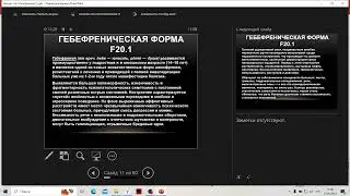 Шизофрения, 2 часть