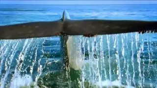 Animal Planet HD - Wildest Season Advert 2013 hd1080p