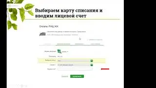 Финансовая грамотность. Удаленные услуги