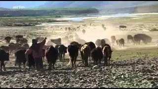 Am Ende der Welt - Dolma - Himalaya - Teil 3