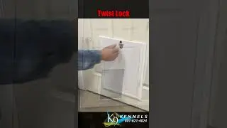 Door Mounted Standard Dog Door Short
