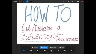 How to Cut/Delete a Selection of a Layer in Procreate