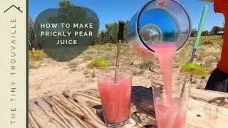 How to Make Prickly Pear Juice  l  The Tiny Trouvaille