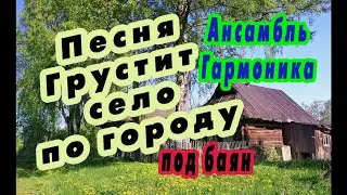 Грустит село по городу / песни под баян / ансамбль 