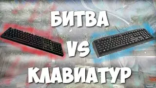 ASMR CS GO l Mechanics vs. Membrane l Which keyboard is better?