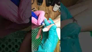 как тебе качество картинки? #nails #nailvlog #nailart #дизайнногтей #маникюр #ногти #vlog