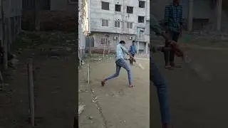 What A Shot Village Cricket 