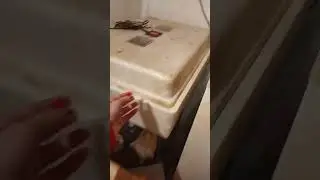 мой хоздвор