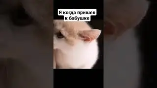 Мемас #memes #shorts #мемы #приколы #ржака #смех #рофл #юмор