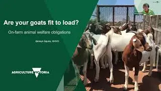 MLA Goat Roadshow Webinar - Fit to Load
