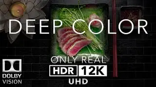 12k HDR 60FPS | DEEP COLOR | Dolby Vision