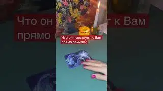 Что он чувствует к Вам прямо сейчас? 