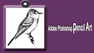 adobe Photoshop pencil art
