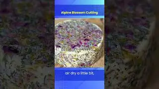 Alpine Blossom Cutting