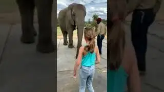 Домашние любимцы!