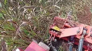 கம்பு தட்டு வெட்டும்  இயந்திரம் #rotary #rotavator @PATTATHARIVIVASAYI #pattatharivivasayi