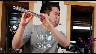 Beauty and The Beast Flute Cover