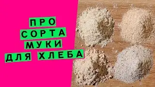 Про сорта 🥇 муки: как получается каждый сорт🌾  и почему он так называется?