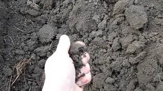 последняя работа в этом сезоне. 2022
