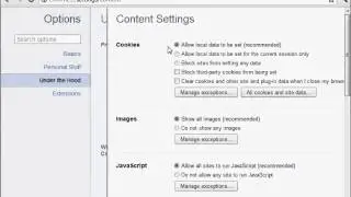 Enabling JavaScript In Google Chrome (version 16 or 17)