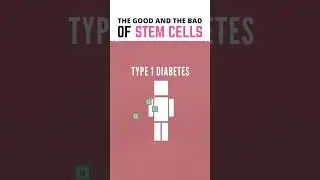 The Good And The Bad Of Stem Cells