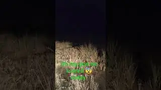 #short