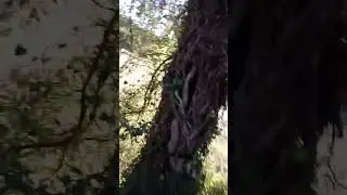 La mano benefica dell'uomo