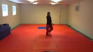 Hwa-Rang Hyung (Full-Speed)