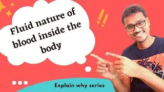 Blood stays in a fluid state inside body. WHY??
