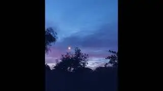 [FREE] Indie x Bedroom Pop Type Beat