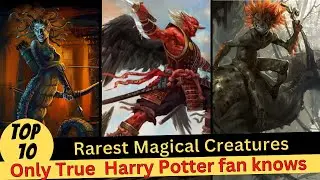 TOP 10 Rarest Creatures in Harry Potter