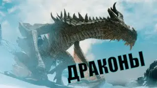 Всё о драконах Нирна [часть 1]