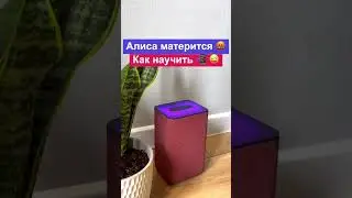 Alice swears 🤬🤬 How to teach Yandex Station to swear 