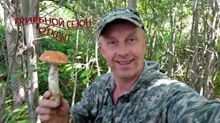 ГРИБЫ 2022