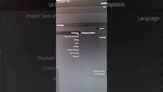 Как сделать русский язык в davinci resolve 18