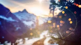 Christmas In The Snow | Free 4K Winter Motion Background