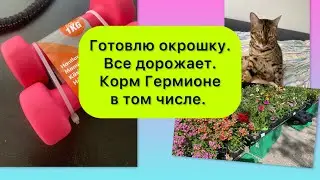 Первая окрошка в Норвегии, корм за 455 nok и норвежские ругательства 😂.