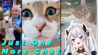 Veibae Reacts to UNUSUAL MEMES COMPILATION 146.1 147 & 148