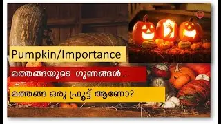 Pumpkin|Importance|ഗുണങ്ങൾ….|Homoeopathy and Health|
