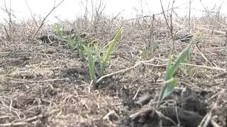 Яковлевский рудник будет выпускать минеральную воду