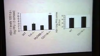 Innate Recognition of HSV-1: A View from Within The Cornea
