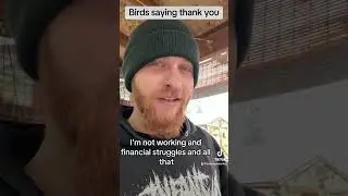 Birds enjoy leaving the “weeds”